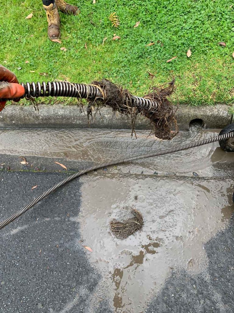 Spring plumbing woes in Mt Waverley, the expert bunch at Doherty Plumbing, jump into action to take on a tricky stormwater blockage. 