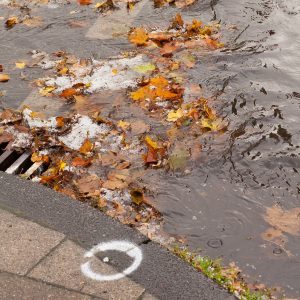 blocked stormwater drains caused by leaves and debris