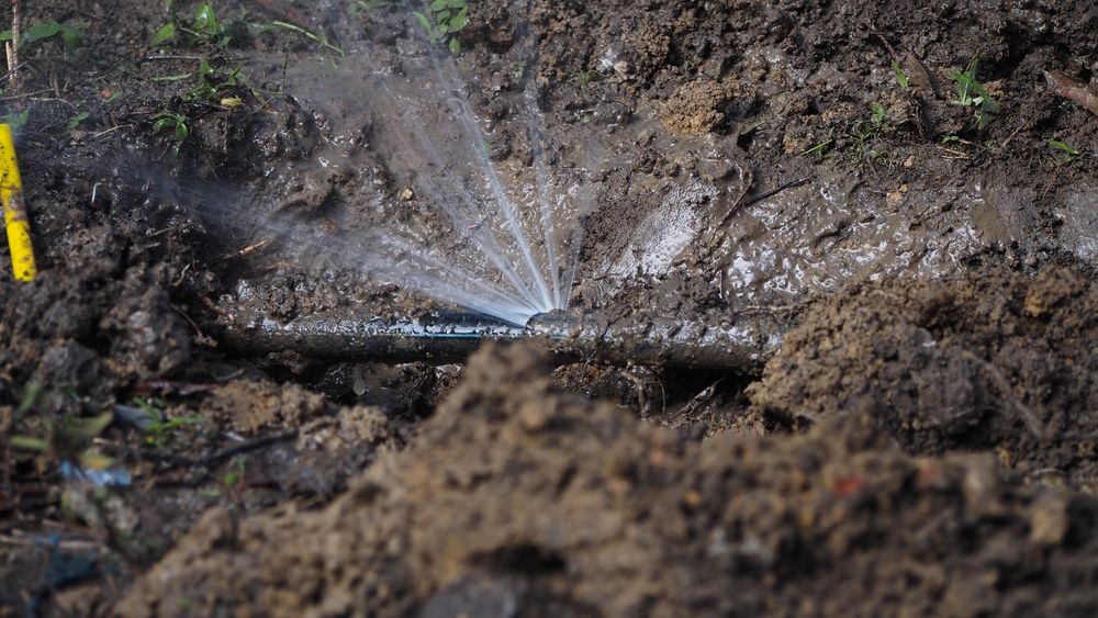 Accurate & reliable water leak detection services