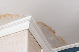 roof leak repair by roof plumber in eastern suburbs
