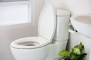 toilet cistern replacement plumber