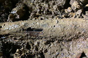 water renewal services plumber