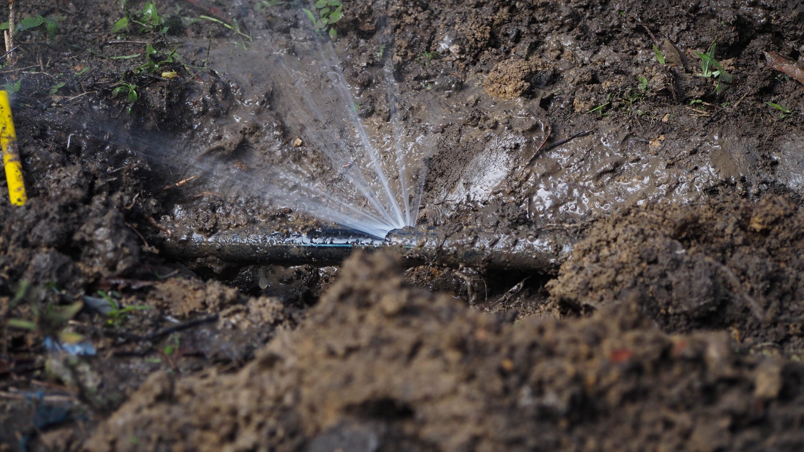 Burst Pipe plumbers eastern suburbs