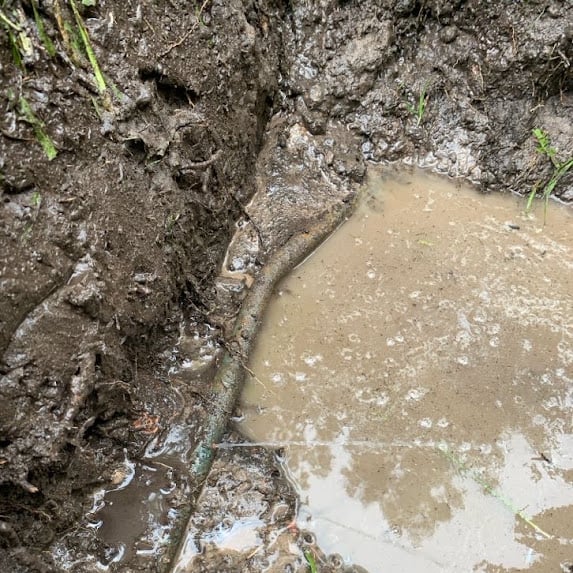 Water pooling around a leaking underground pipe in a Camberwell front garden.