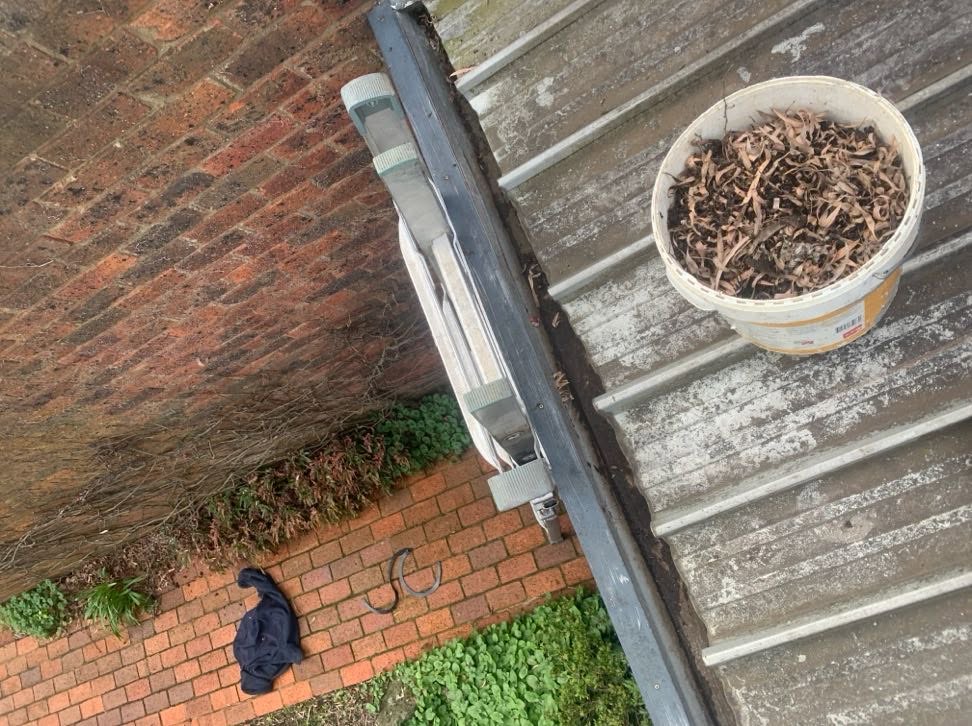 Bucket of leaves and debris removed during roof and gutter maintenance in Burwood.
