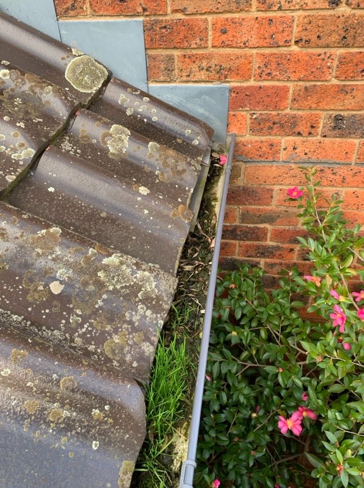 Vegetation and debris built up in roof spouting beside tiled roofing at a Burwood home.