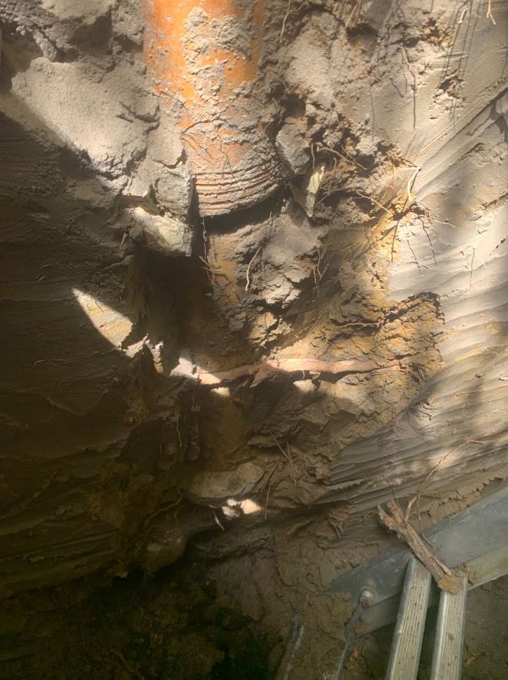Broken clay sewer pipe section at the lead-off point in Glen Iris.